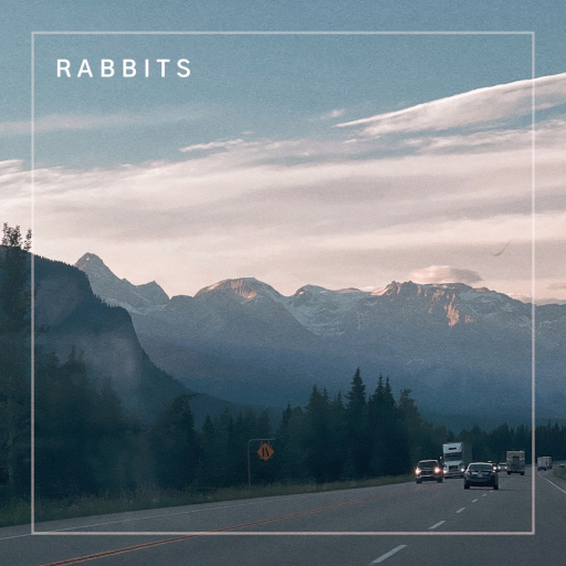 Rabbits by Alanna Matty